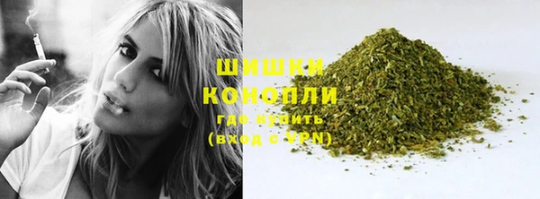 сатива Липки