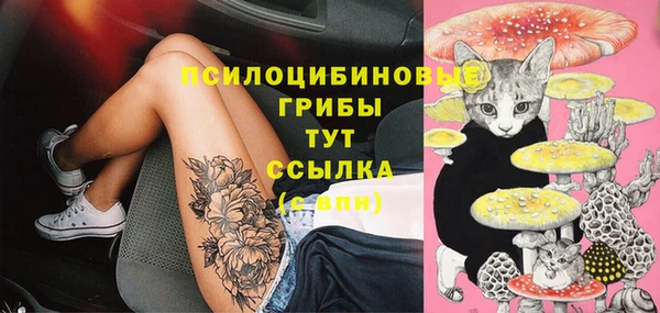 сатива Липки