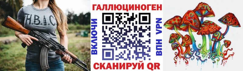 Купить закладки  Ленинградская  Галлюциногенные грибы MAGIC MUSHROOMS